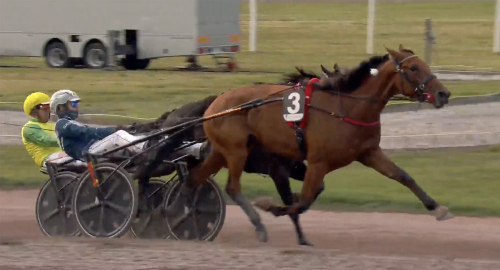 Gocciadoro och Djuse bäst i Breeders Course