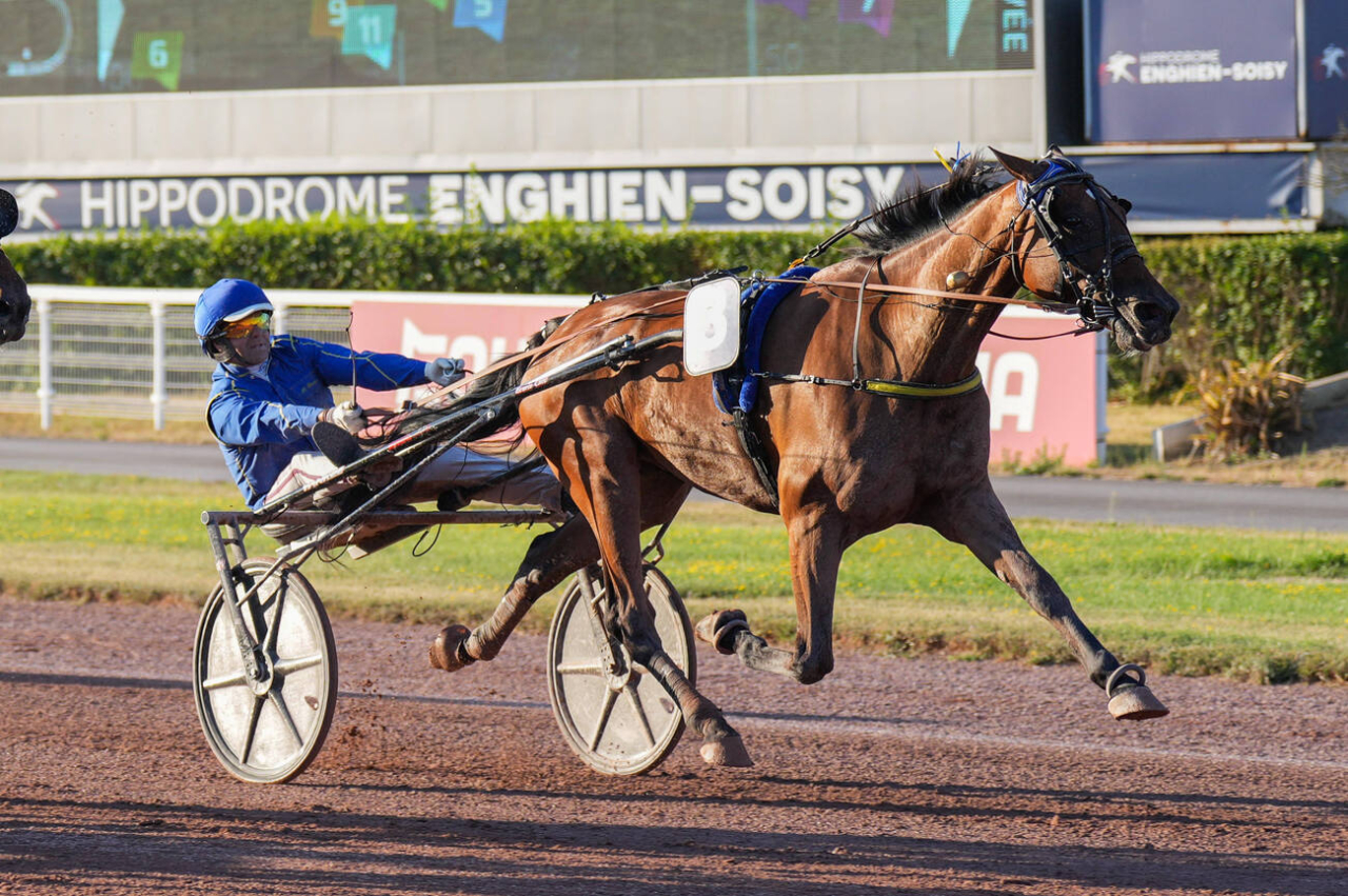 Kingslayer Pellini vid en tidigare seger i år. Foto: Scoopdyga