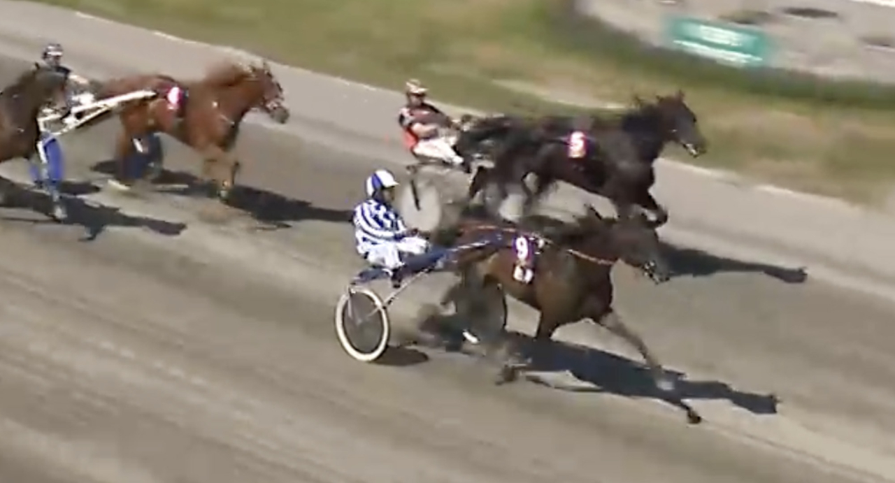 Kyrkebys Gunbritt har vunnit samtliga fyra starter i Visby i år. Skärmbild ATG Live