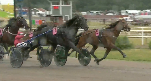 V85: Wäjerstens avtryck