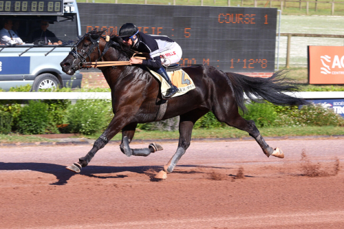 Macahans franska uppvisning