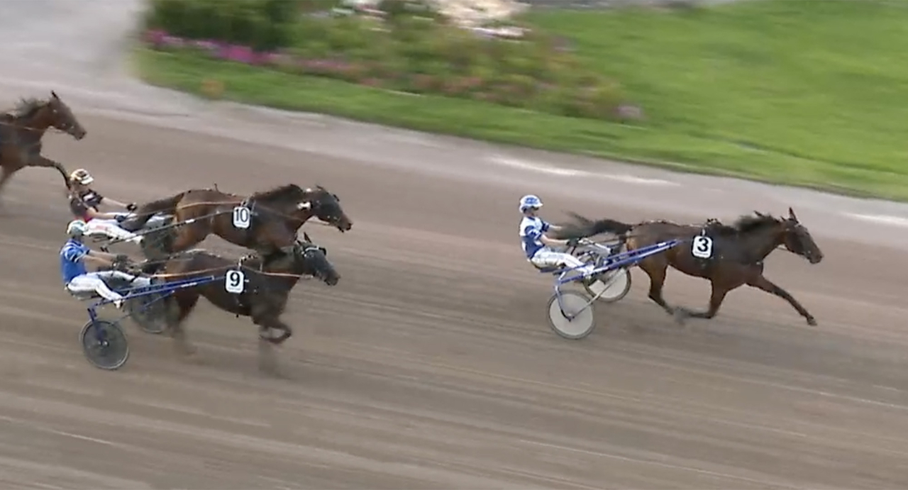 Daniel Wäjerstens treårtiga sto Magnification sprintade undan i Sommarfavoriten. Skärmbild ATG Live