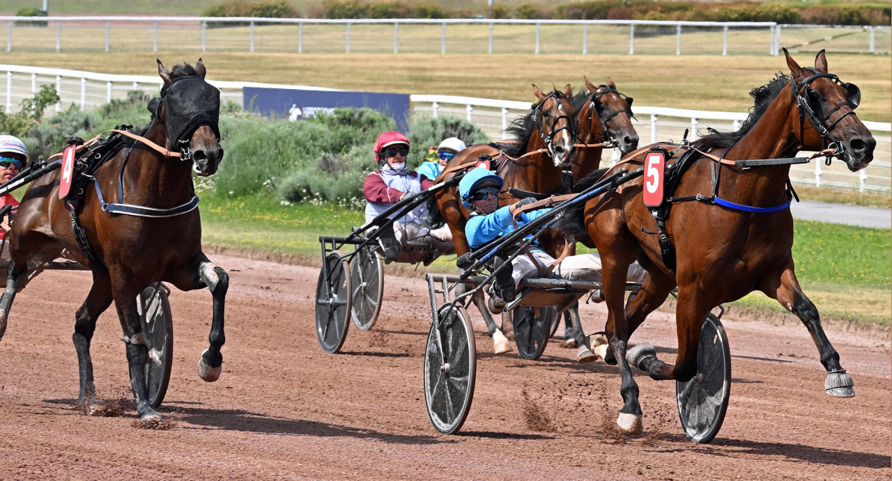 Frankrikes snabbaste treåring treåring heter Nebraska de Ginier, som tog sjunde raka segern på Enghien idag. Foto Scoopdyga