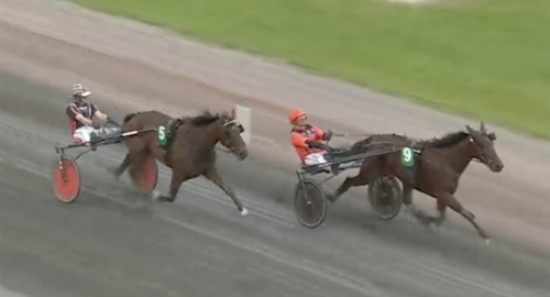 Stochampionatet: Drottning först ut