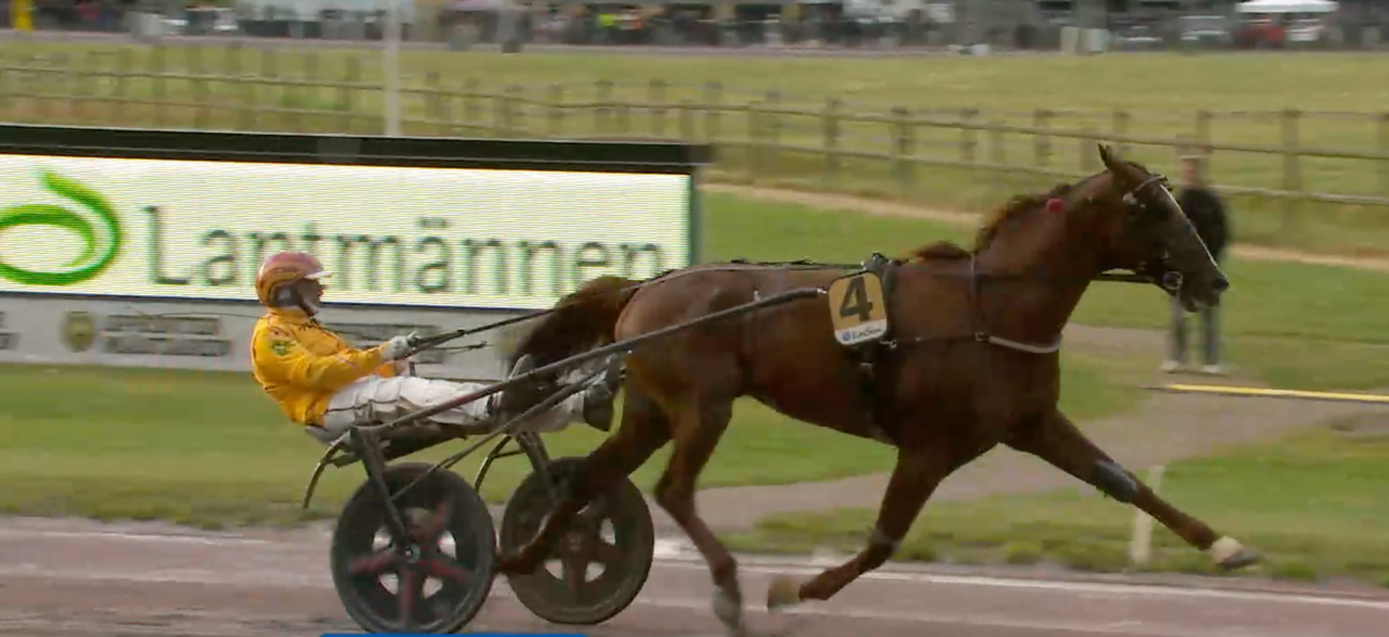 Golden Boy.
Skärmbild ATG-live