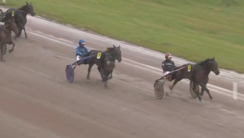 Med stam att leva upp till