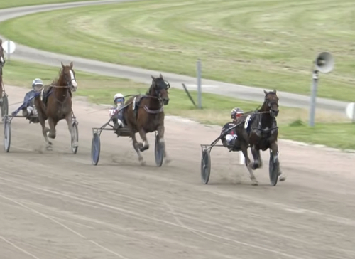 Åttonde raka för Fragolino
