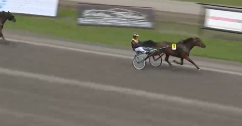 Finskt hopp hos Westholm