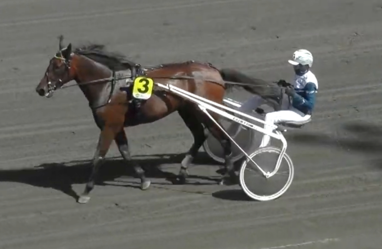Nightbird och Magnus A Djuse efter segern igår.
Skärmbild Bergsåker