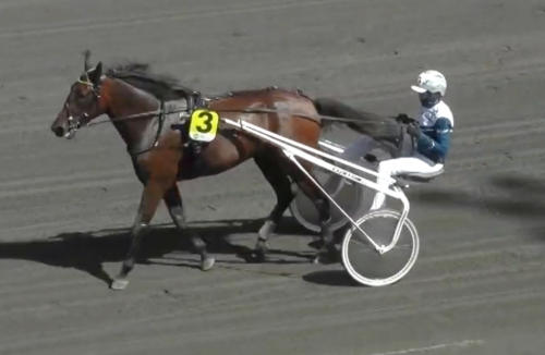 Tredje raka i fin stil