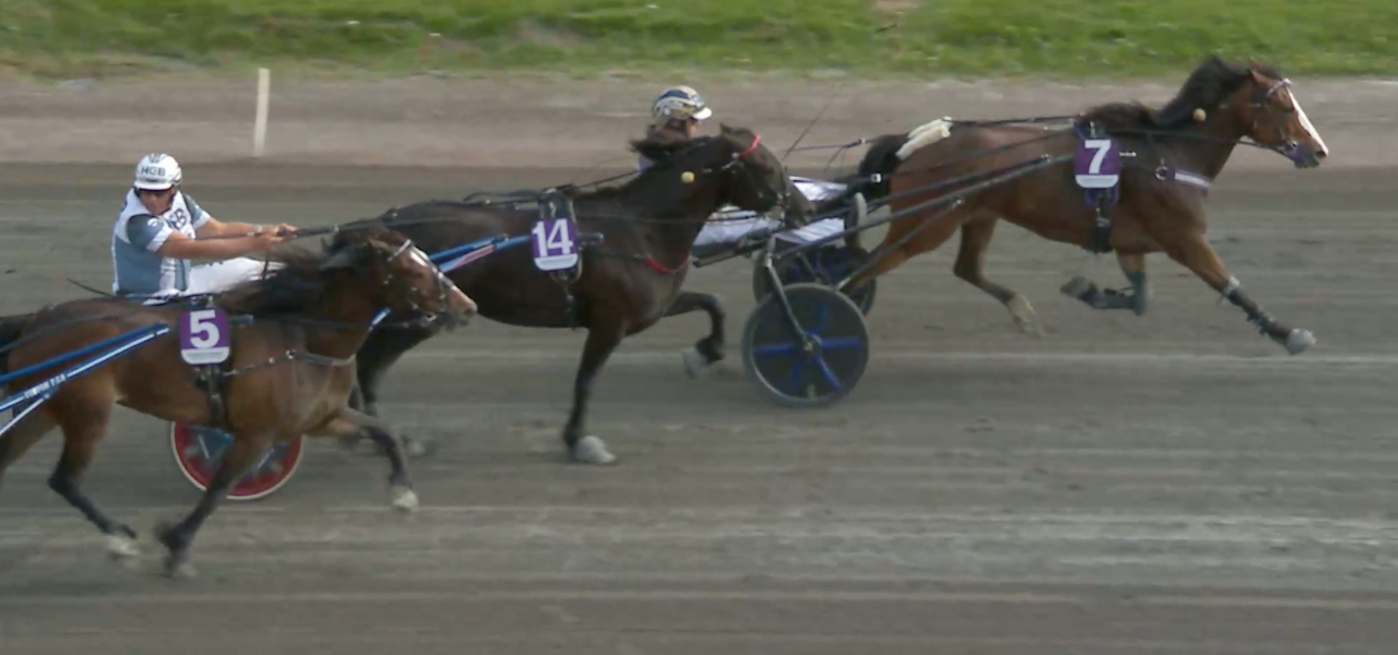 Jonases Ninja och Jan-Olov Åberg vann Dubbelcupens final i Årjäng.
Skärmbild ATG-live