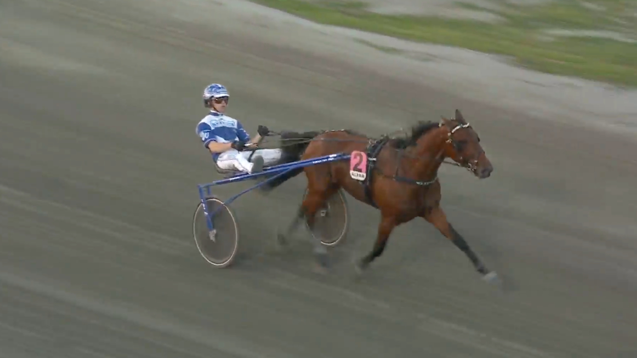 Daniel Wäjerstens Zarex imponerade stort och vann på världsrekordtiden 1.11,0a/2.640 meter.
Skärmbild ATG-live