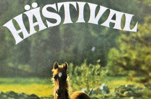 En hästival att ta efter
