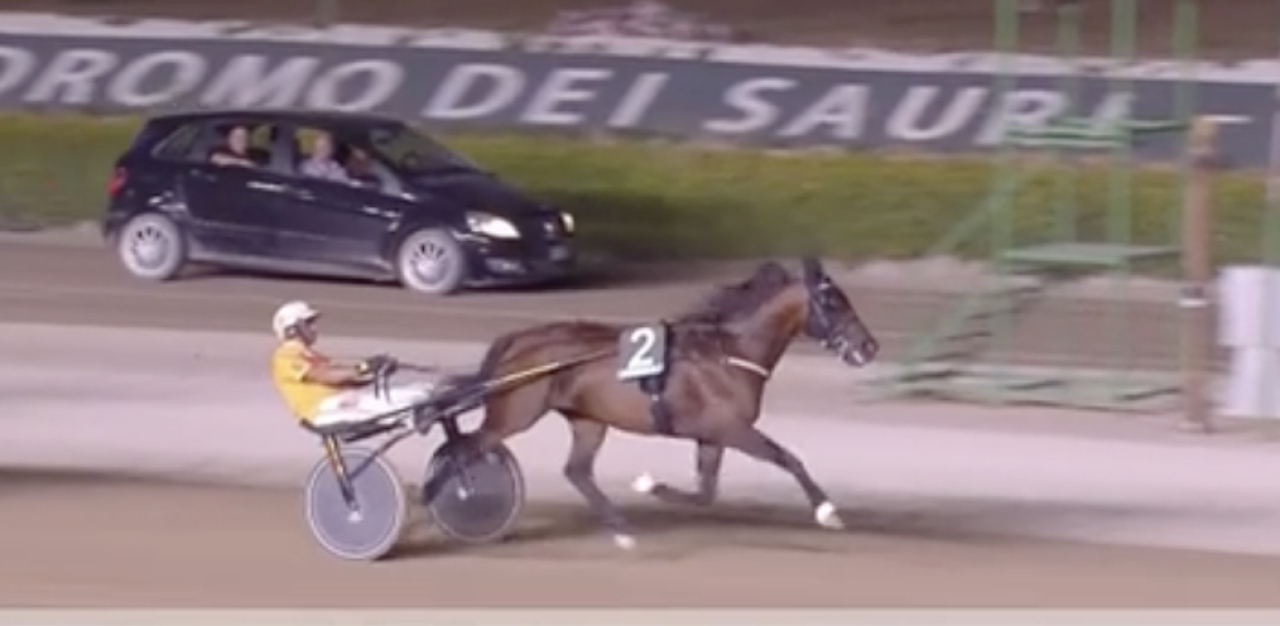 Always Ek var ensam på målfotot ikväll på Ippodromo dei Sauri.