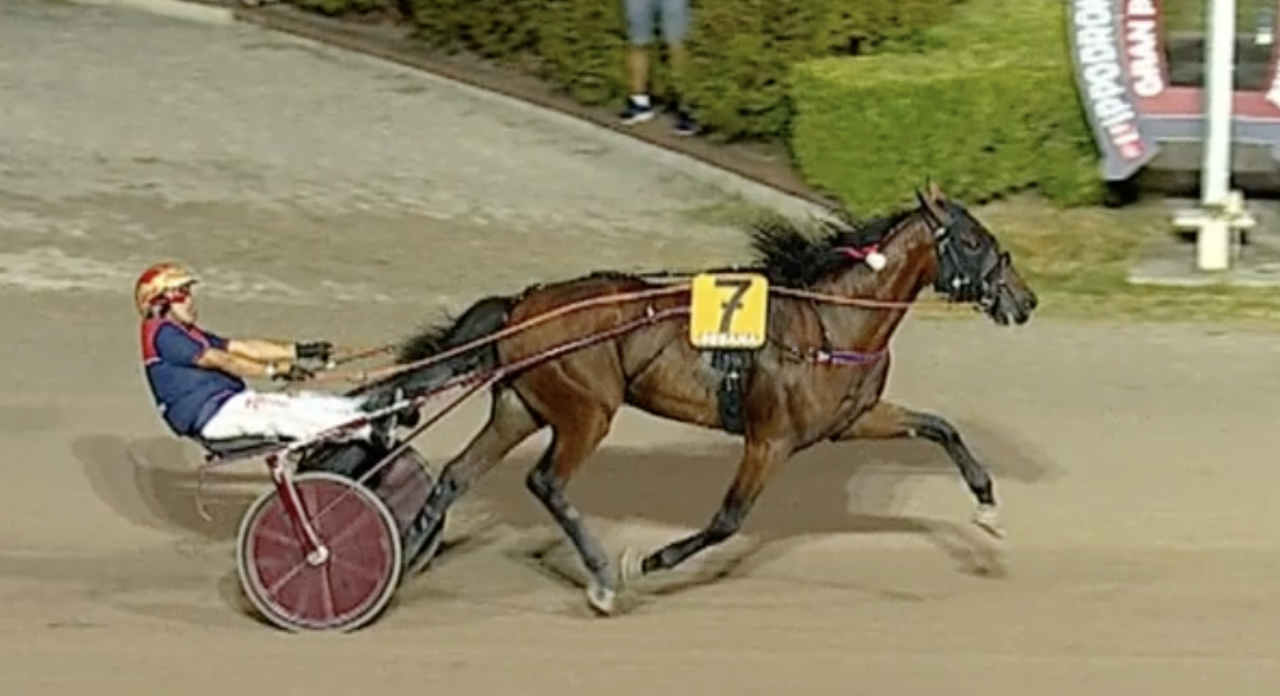 Inimitable var ensam på målfotot för Vincenzo Luongo igår i Montecatini.