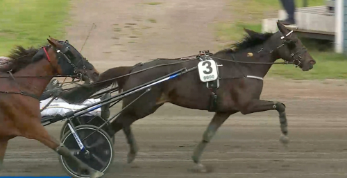 V85: Ulf fick springa
