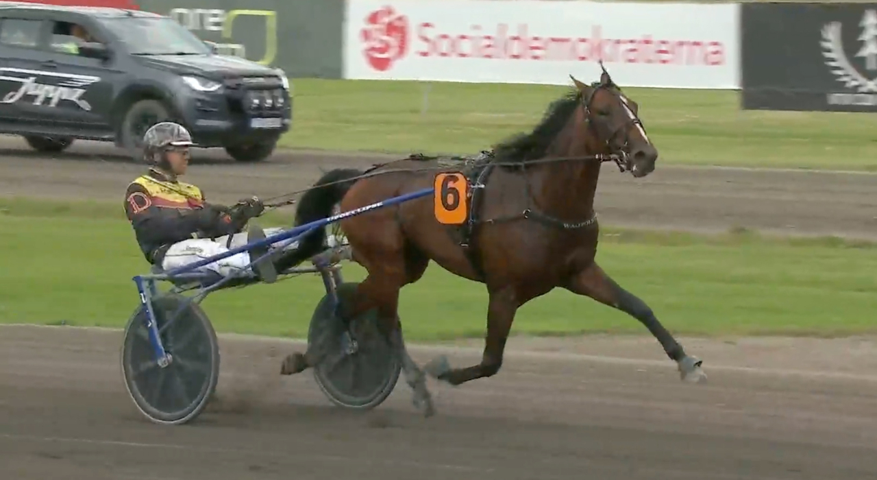 Readly Brodde och Mats Djuse var överlägsna i Bollnäs idag.
Skärmbild ATG-live