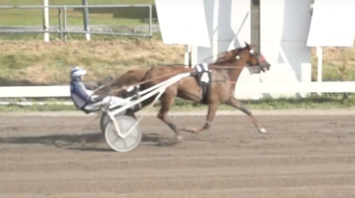 Vinst i ohotad stil