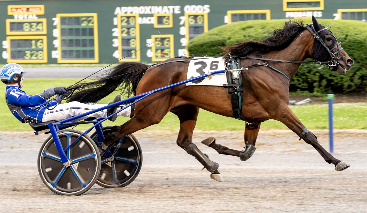 James MacDonald guidade Lauren's Chapter till vinst i ett försök i New York Sire Stakes. Foto: Wendy J. Lowery Photo