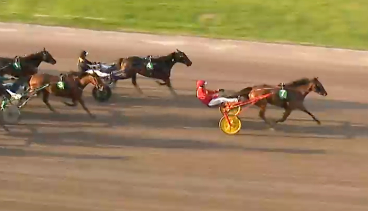 Nickel Curve och Mats Djuse vid segern på Solvalla igår.
Skärmbild ATG-live