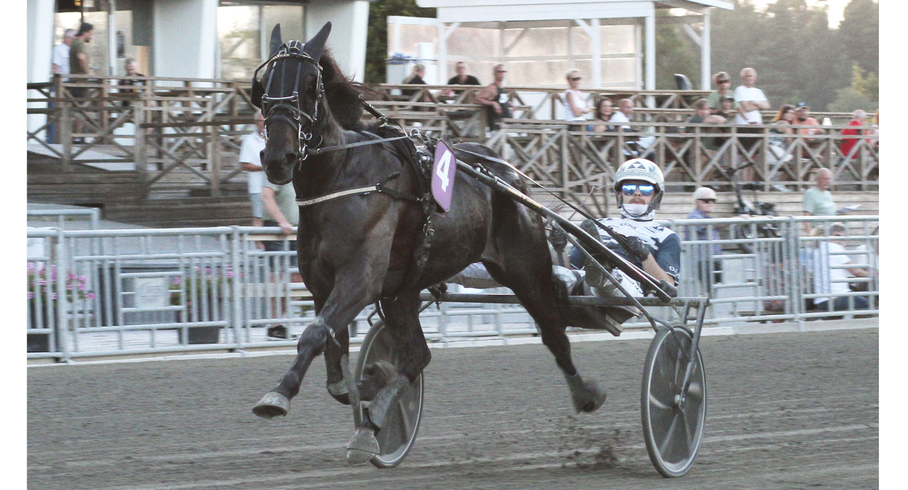 Tolfte gången gillt blev det för treårige Thor Tooma när han tillsammans med Magnus A Djuse tog första segern i Örebro förra veckan. Foto Gunilla König/Stalltz.se
