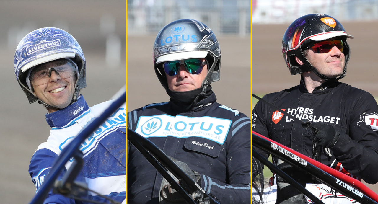 Daniel Wäjersten, Robert Bergh och Johan Untersteiner vinner oftast av Sveriges 50 bästa kuskar. Foto Mathias Hedlund/Sulkysport