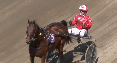 NM-guld till dansk skräll