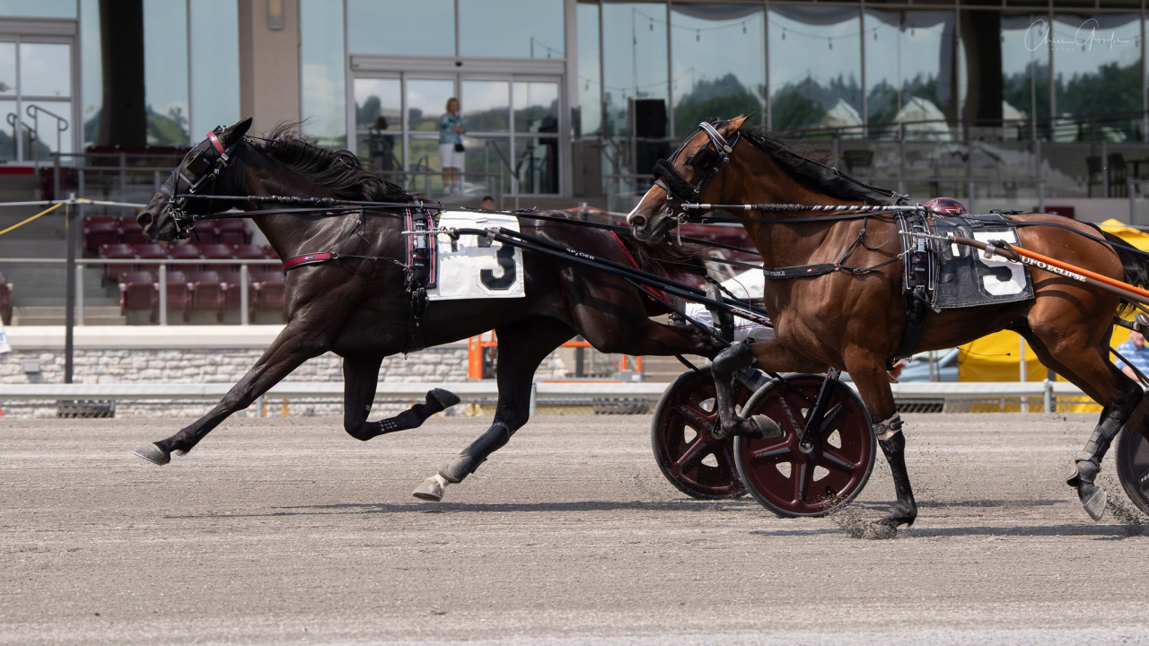 The Captain's Wife håller undan med en halv längd före invändiga Ops Mearas. Foto: Chris Gooden