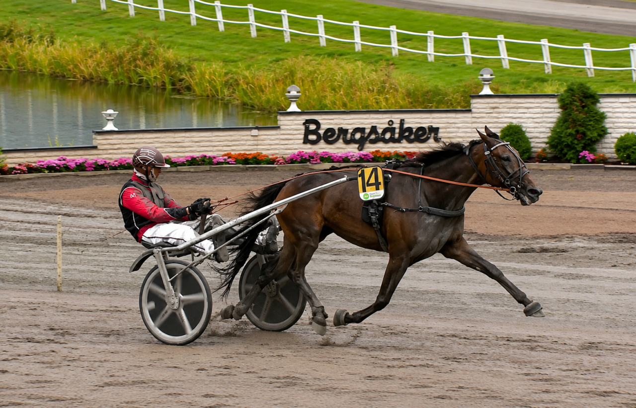 Maharasha och Martin Berg Samdal vann Lars Lindbergs Minne på Bergsåker idag.
Skärmbild ATG-live