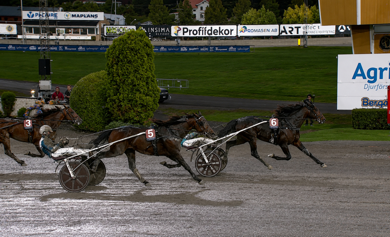 Epic Kronos vinner Sundsvall Open Trot före Kentucky River.
Skärmbild ATG-live