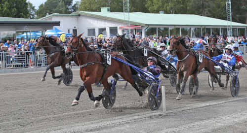 V85: Wäjersten från början och till slut