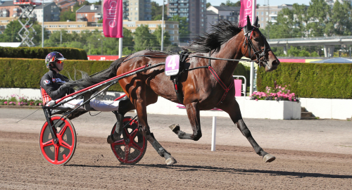Topphästar i E3