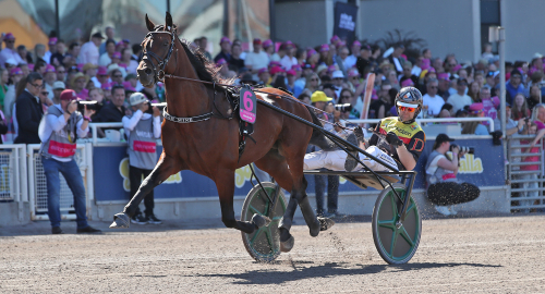 Positivt besked om Dream Mine