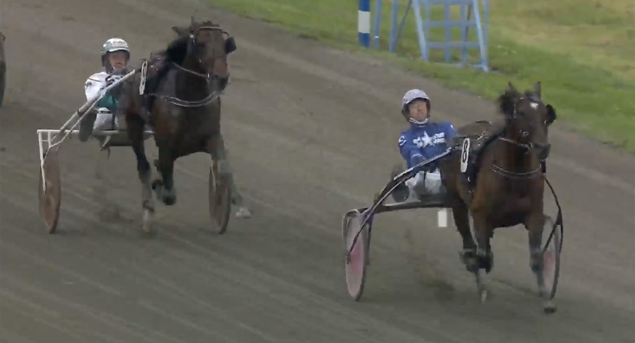 Katja Melkko-tränade High On Pepper och Rikard N Skoglund besegrade Epic Kronos i Ådalspriset på Dannero. Skärmbild ATG Live