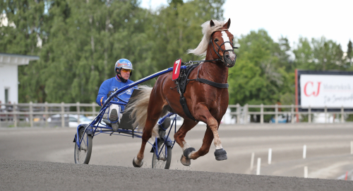 Robert fixar fjärde Derbyt
