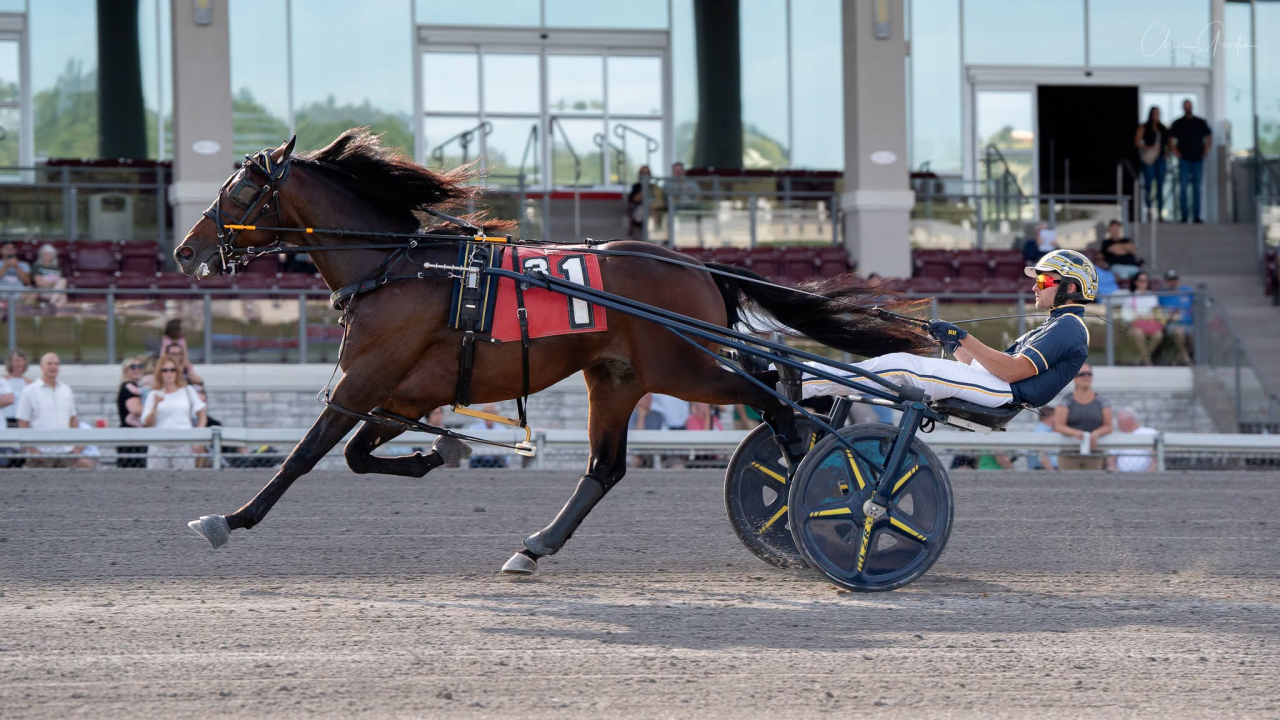 Lions Tale och Mattias Melander vid en tidigare seger. Foto: Chris Gooden