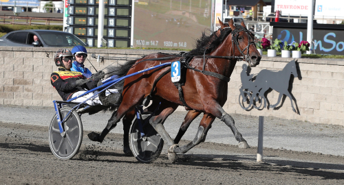 Barfotadans i stallmatch