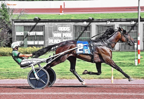 Trippel till Svanstedt