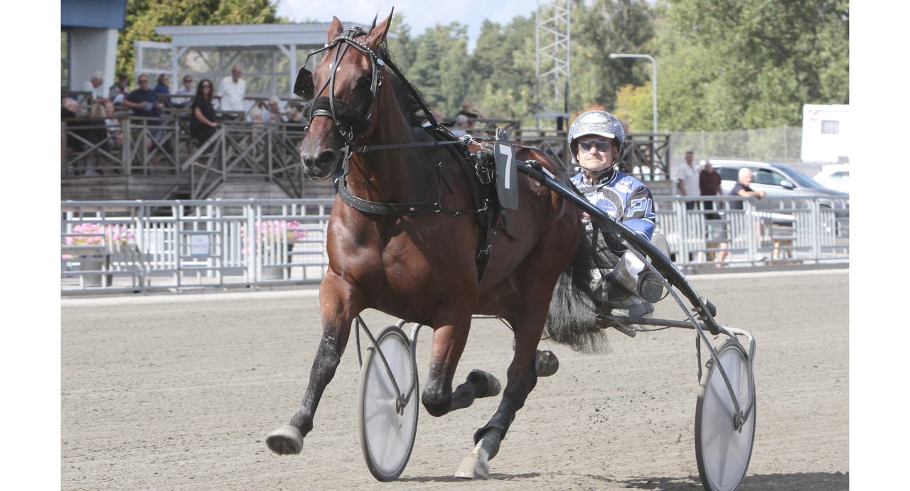 Origo debuterade med seger för Per Lennartsson. Foto Gunilla König/stalltz.se