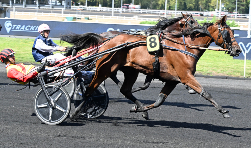 Gräsmästare bäst på Vincennes