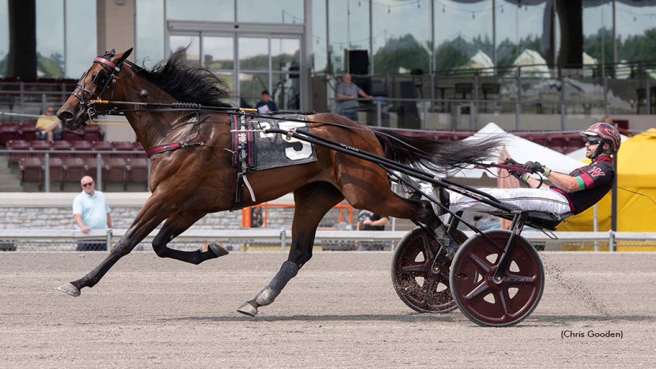 She’s A Home Run vid en tidigare seger för Ronnie Wrenn Jr. Foto: Chris Gooden
