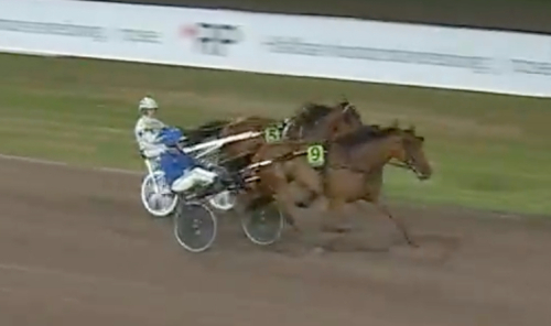 Breeders Crown: Hagoorts stjärnsto bäst igen