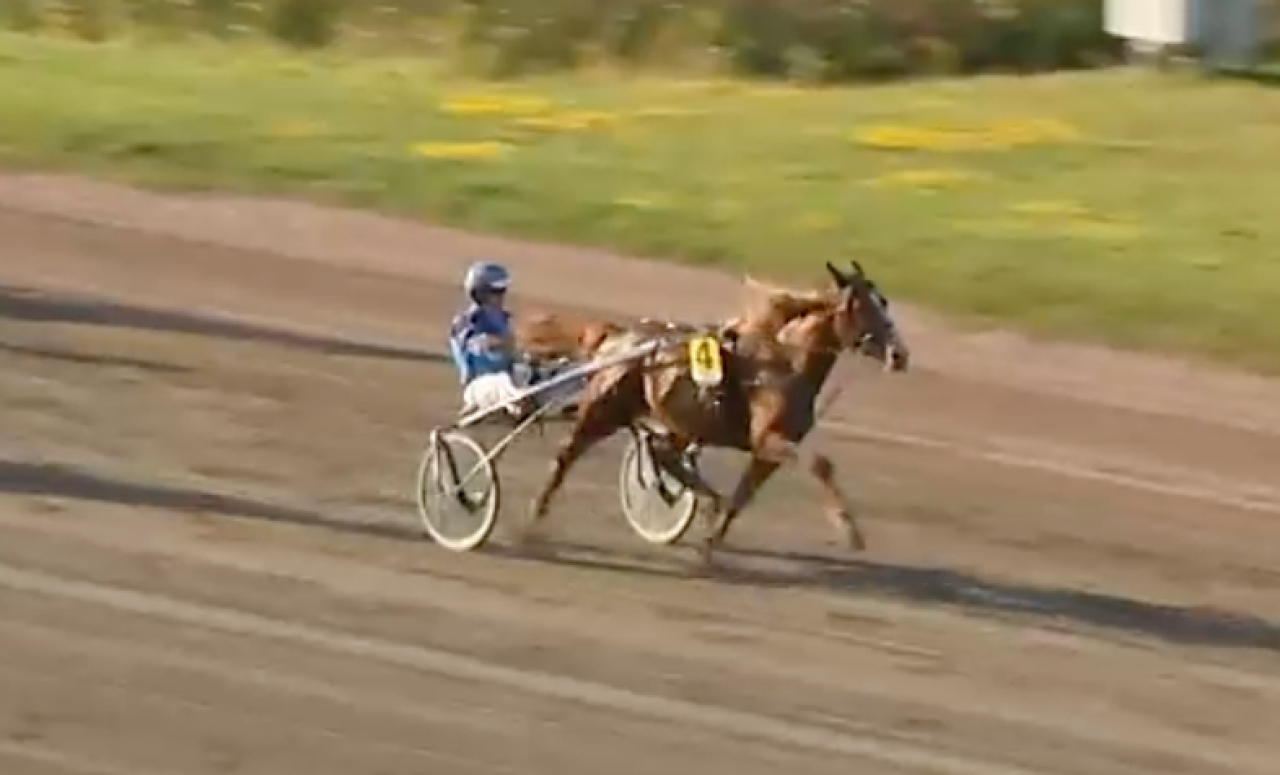 Ecurie D.-sonen Pure Custom Cowboy vid segern igår.
Skärmbils ATG-live