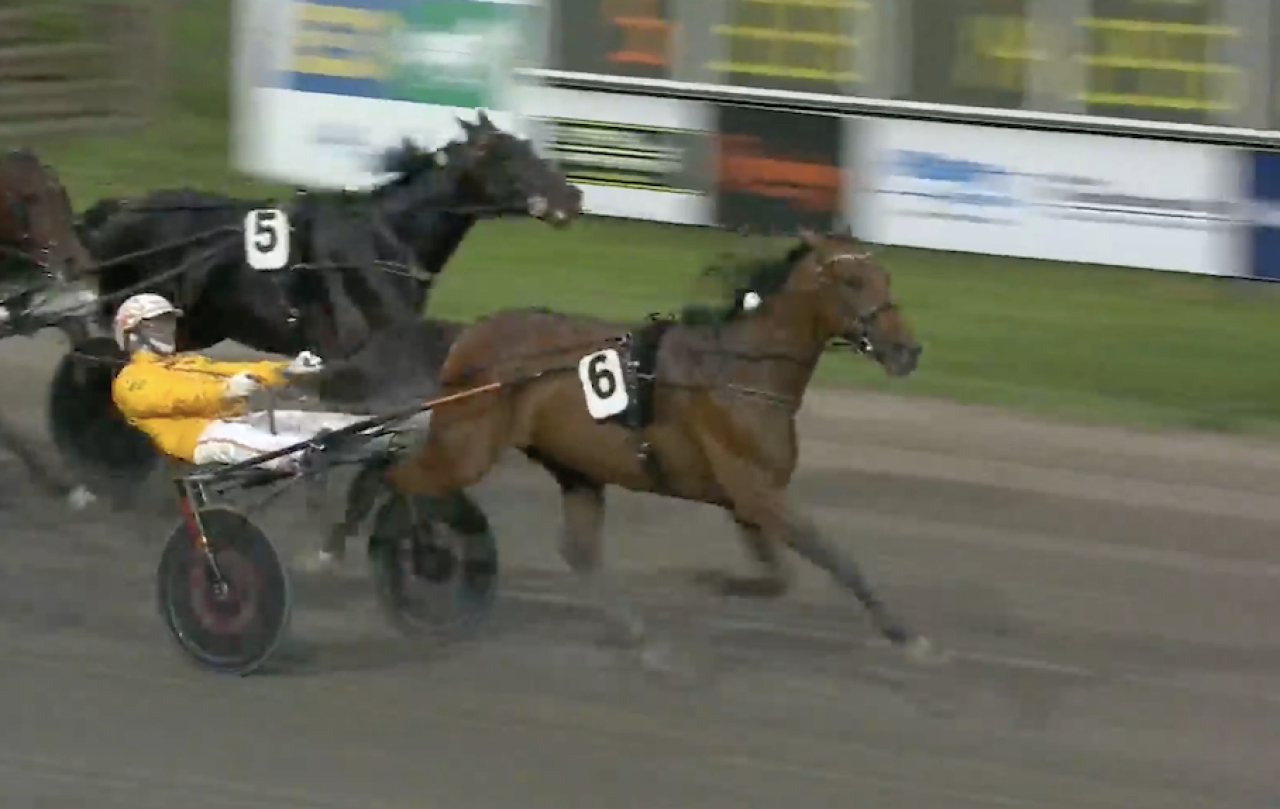 Giotto Grif spurtar hem Rune Johansson Grand Prix för Alessandro Gocciadoro.