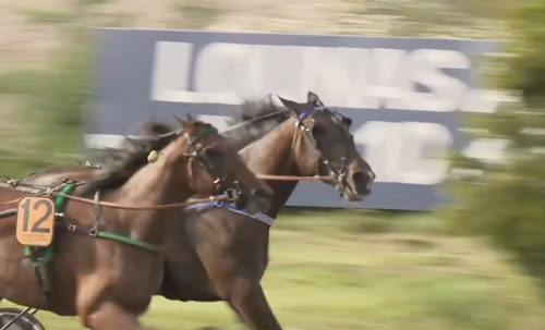 Derbydubbel för Maharajah
