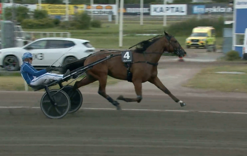 Jonte med tussarna kvar