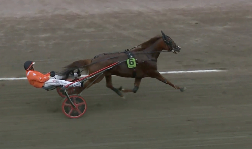 Uppvisning av Steady Express