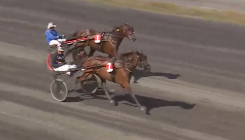 Ginman till SM