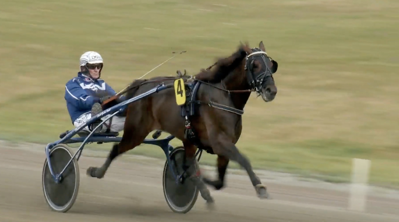 Sphinx Boko och Gordon Dahl.