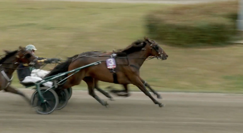 Duell i Danskt Stoderby